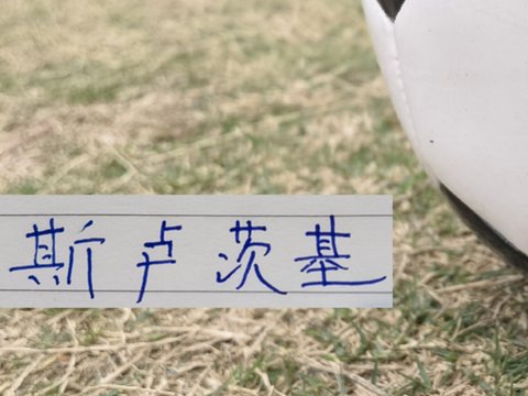 申花两连胜 脱离降级区10分