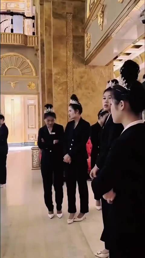 公司小妹们辛苦了