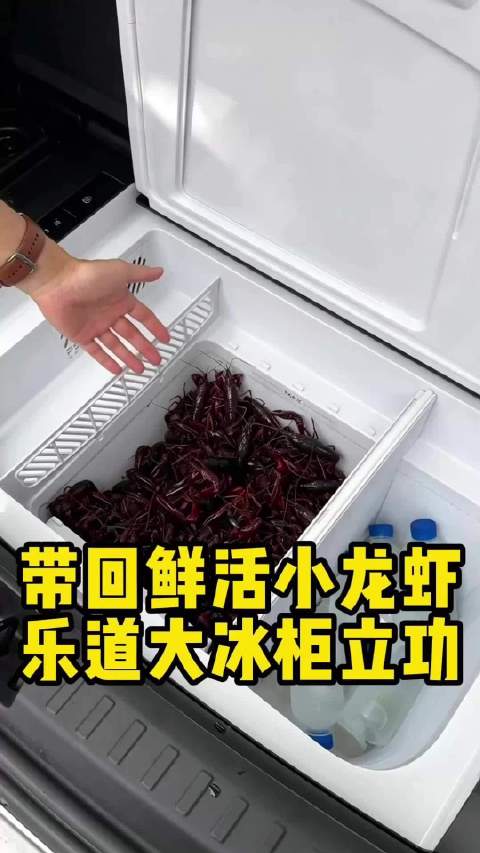 这车太熟悉，我自己就在用！这不就是带大冰柜的乐道L60嚒