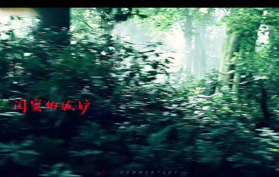 皿色婚礼将史塔克家族猛将全部抹除，席恩与珊莎两人成功逃出梦魇