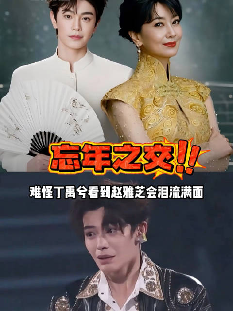 为何丁禹兮演唱会赵雅芝成助阵嘉宾？