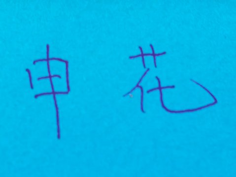 中超资讯：北京国安11场各项赛事不败 | 申花新教练 迎来开门黑