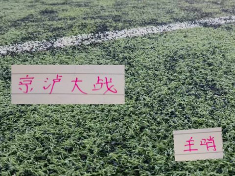 上海申花vs北京国安 主裁判是是甘树然