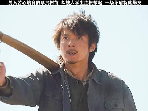 理论学识与实干经验，相辅相成方能造林