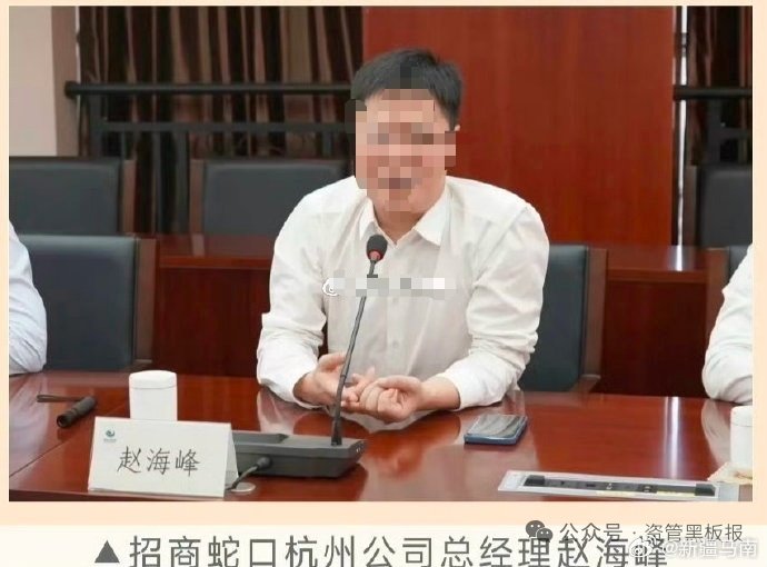 赵海峰被免职后招商蛇口浙江公司由谁接手
