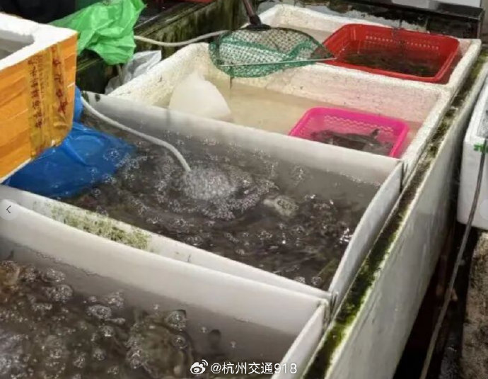梭子蟹为什么今年降价这么快? 梭子蟹为什么今年降价这么快?