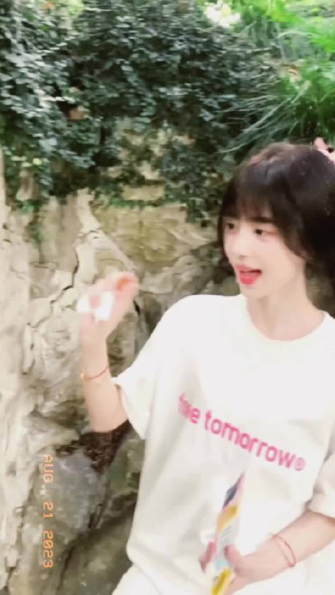 两只萌物 鞠婧祎