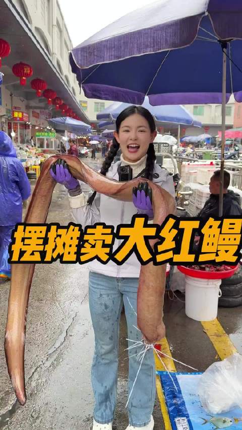 摆摊卖海底海底哥斯拉—大红鳗，看看多久能卖完