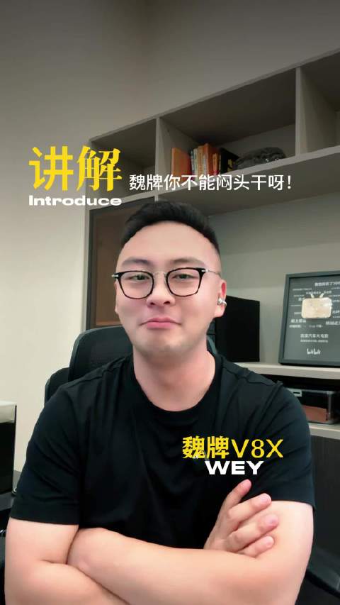 魏牌V8X实力那么硬！魏牌你要把东西亮出来！