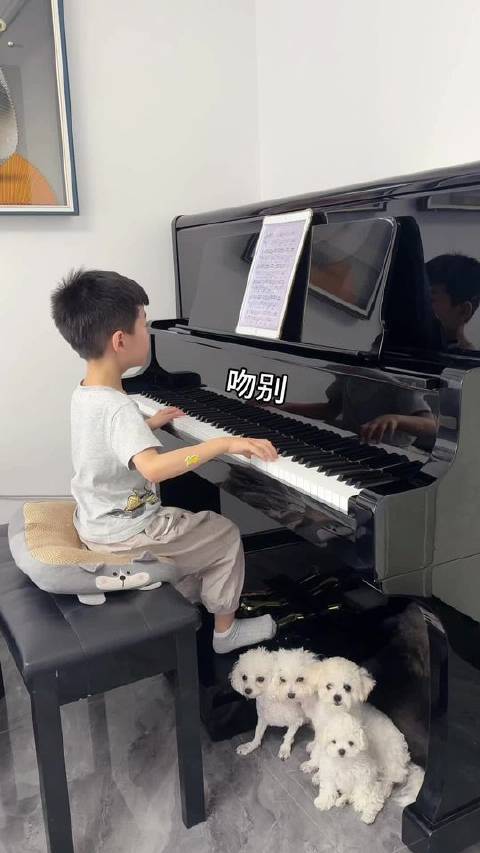 张学友的传世金曲《吻别》，指尖流淌的岁月回响