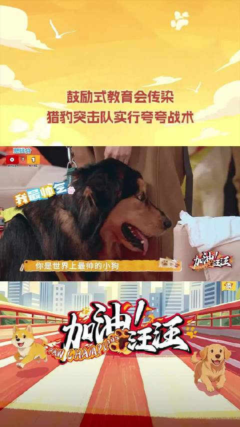 郑恺挨个夸遍猎豹队员，鼓励式教育全队蔓延