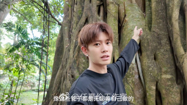 哇啊啊嘉人们七夕福利来啦 任嘉伦马来西亚vlog