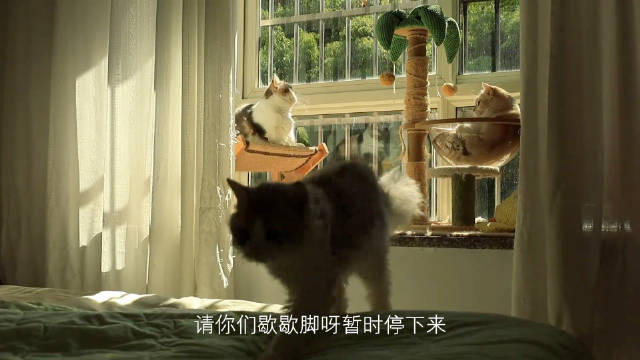 稍微缓缓 不影响啥