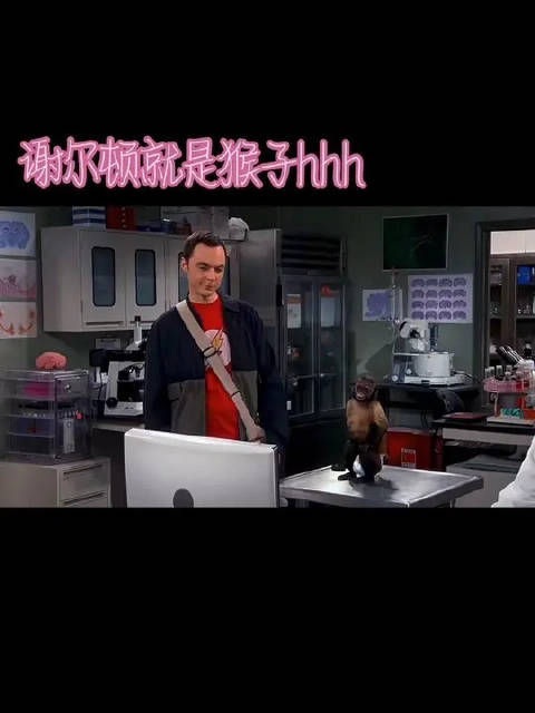好久没见谢尔顿