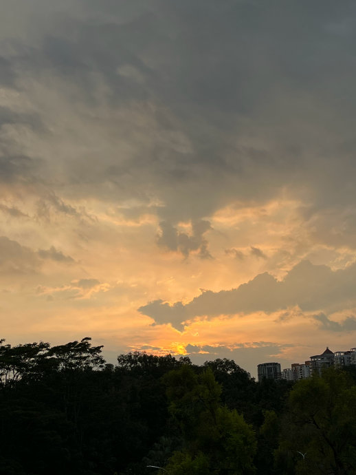 哪些车主动刹车靠谱