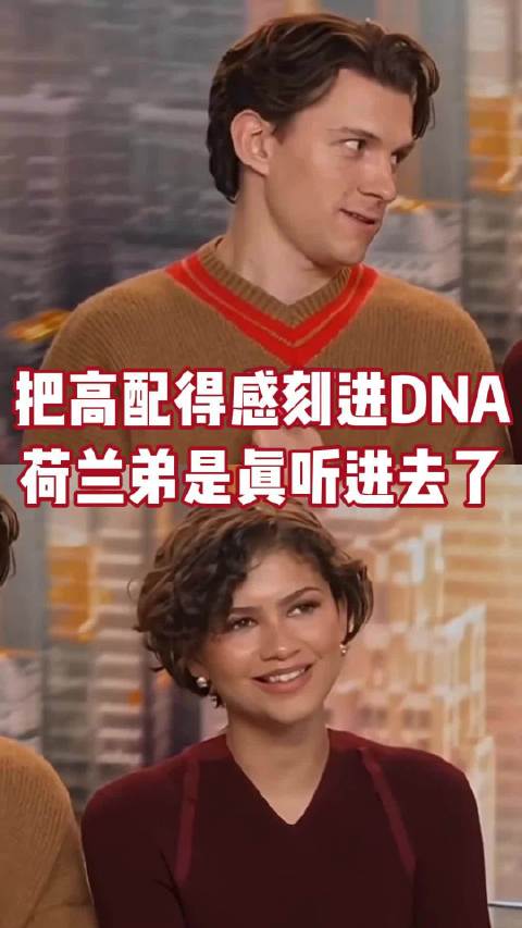 荷兰弟，一款高配得感小彼！ 赞达亚 cp