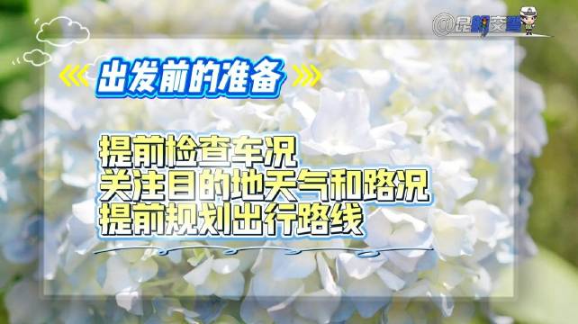 安全是存钱与旅游的桥梁，系好安全带不抢灯不分心