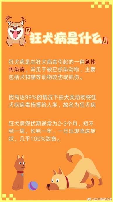 流浪恶犬反复咬死山羊终被击毙，村民拍手叫好！