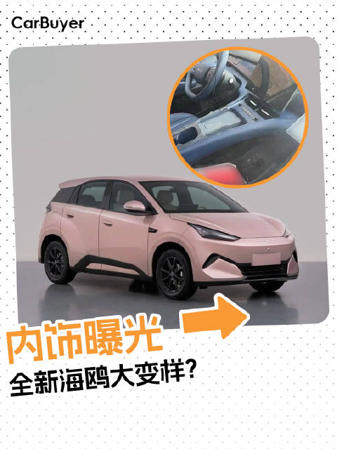 全新海鸥大变样？内饰像超跑，尺寸接近海豚