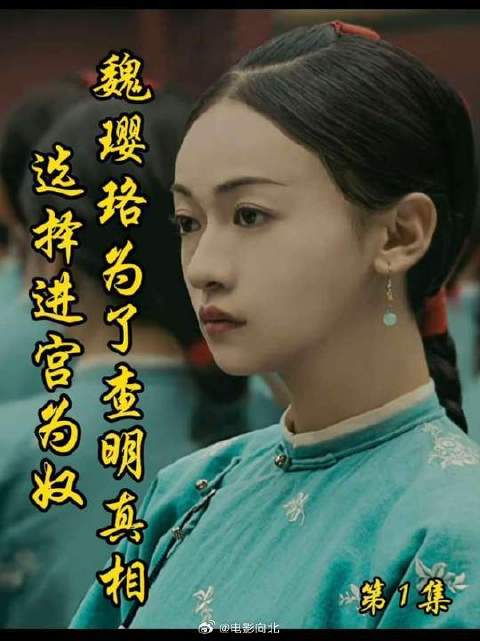 魏璎珞为姐报仇，入宫为奴