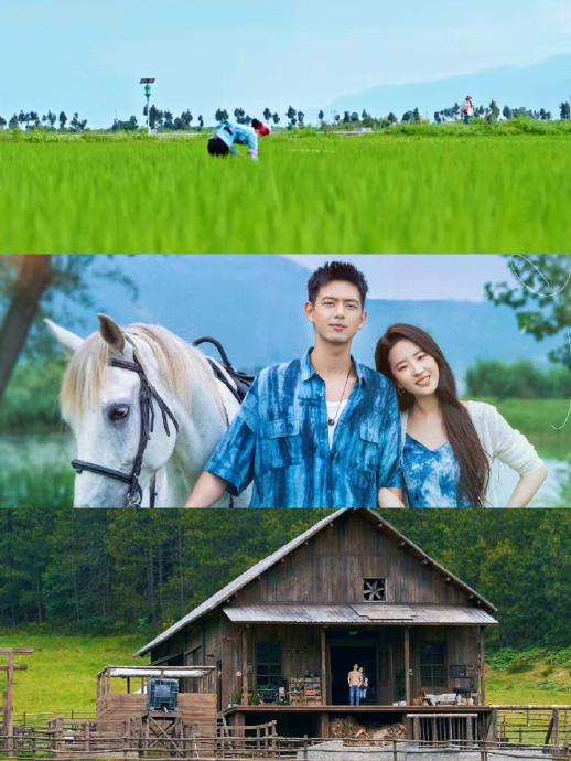 《去有风的地方》凭什么成为治愈剧天花板？