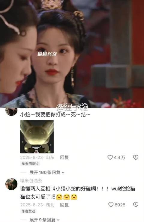 猫猫真的太爱逗蛇蛇了吧 子夜归｜武祯｜柳太真｜田曦薇｜王佳怡