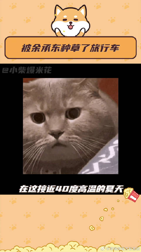 等不及秋天来一场心随天地走的旅行了！