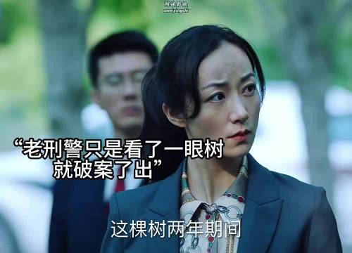 老刑警断案如神就只看了一眼树就把案子破了！
