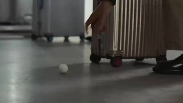 周杰伦三年级二班23年后终迎主角樊振东