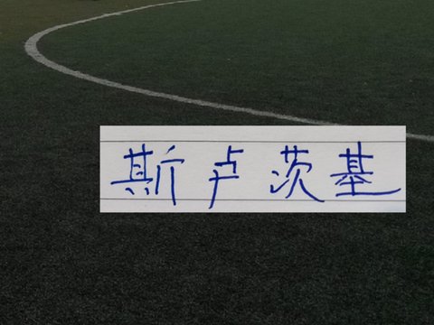 今年五一大战斯卢茨基差点拿下成都 周末申花新帅能翻身吗？
