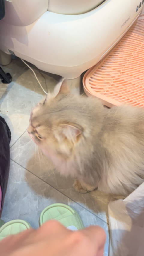 骑上拖拉机跑了