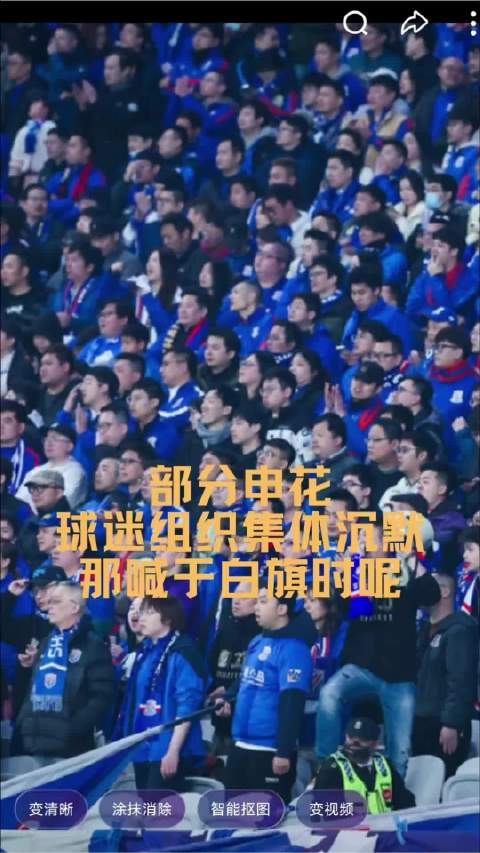 申花多家球迷会宣布静默观赛表达诉求