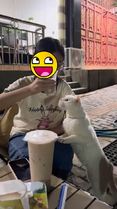 翻到了24年的李白 它好可爱 我好想它
