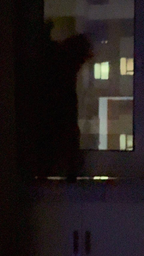 猫女大战蝙蝠侠