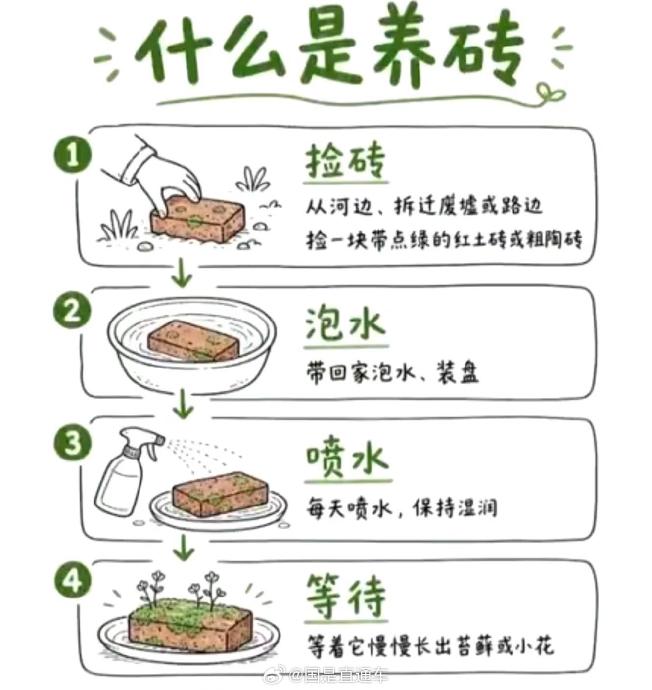 “养砖头”真的能缓解焦虑吗？
