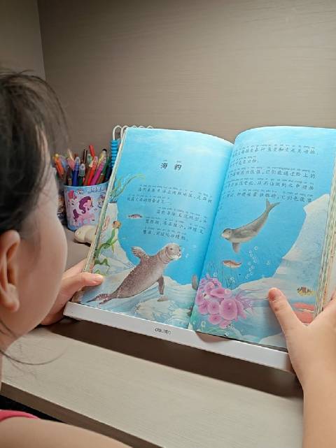 今日阅读 中国少年儿童百科全书——动物世界 海豹