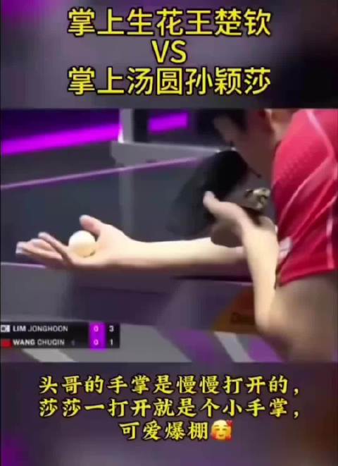 莲花手与明珠，国乒大头莎宝手腿养眼可爱爆
