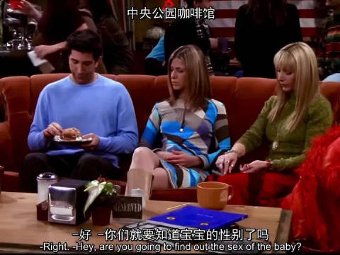 罗斯瑞秋给孩子取名字，菲比致力于给每个朋友的孩子取名叫菲比