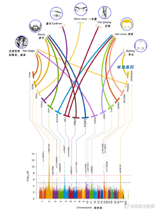 适合敏感肌的脱毛 适合敏感肌的脱毛