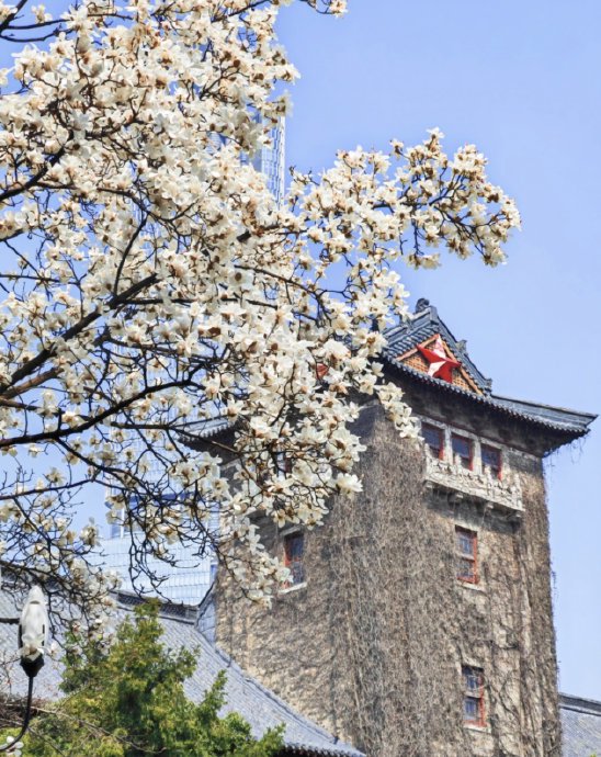 南京四季都有哪些浪漫自然景观？