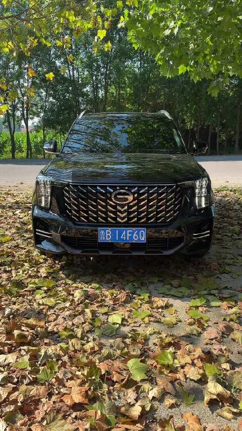 每次停好车都忍不住回头看它