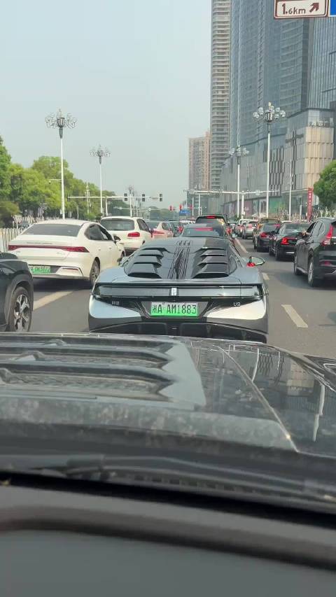 偶遇中国超跑仰望U9！真的好灵活