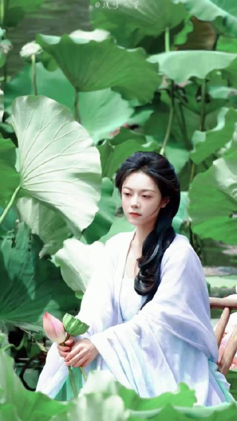 出水芙蓉 *赵今麦