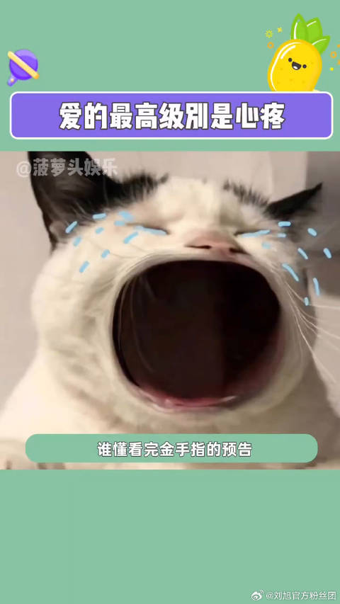金手指刘德华忘记儿子满月 微博VC计划