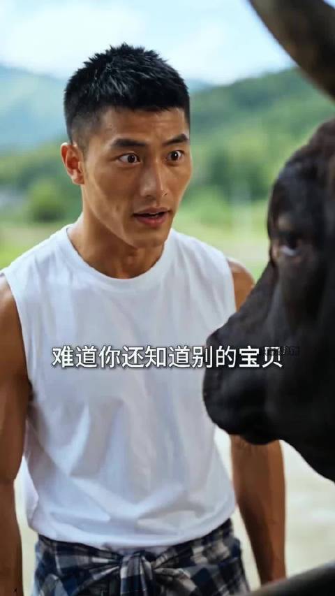 小伙能听懂牛说话，逆袭开始了