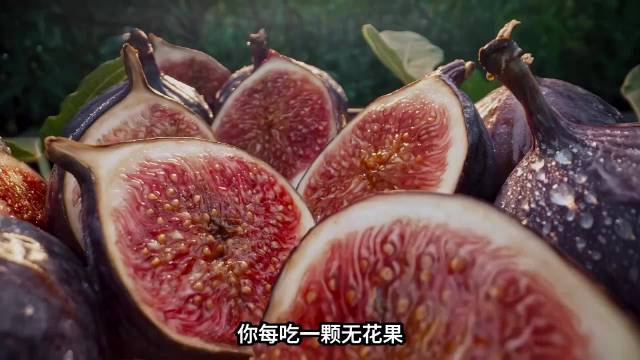 每一颗无花果里，都有很多寄生虫，看完你还敢吃吗？