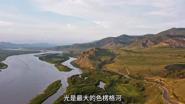 海豹：这里好，这里没有北极熊