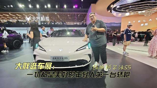 大胖逛车展 极狐阿尔法S5 一切皆美好的家用纯电轿跑