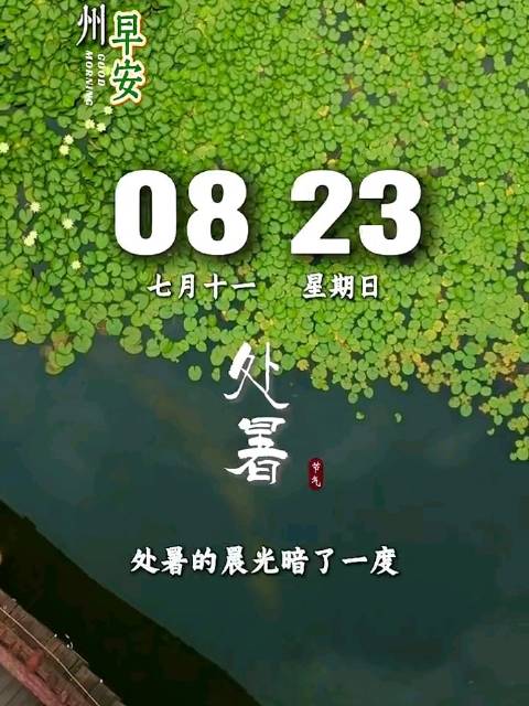 早安，处暑的晨光暗了一度，风里的燥热正在退去
