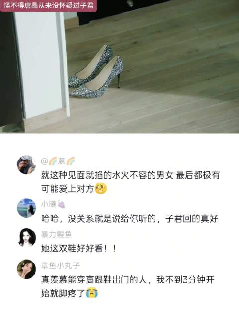 其实这个时候的贺涵和罗子君都是孔雀